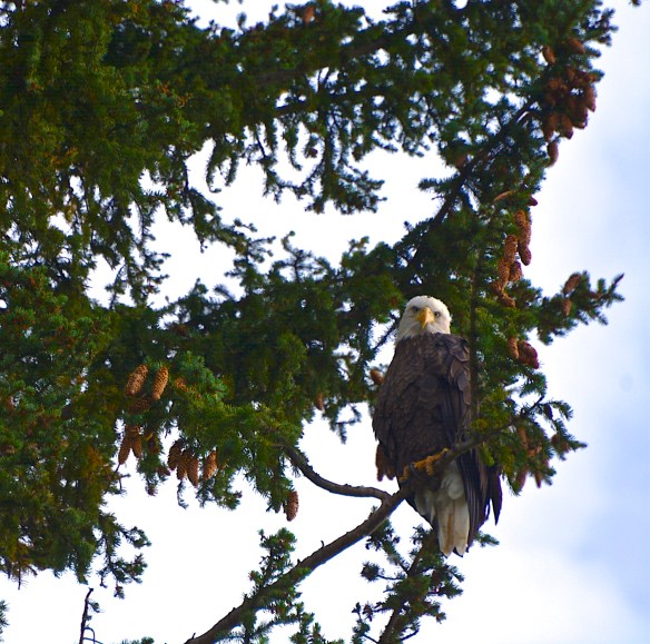 Lin and Michael's Phots