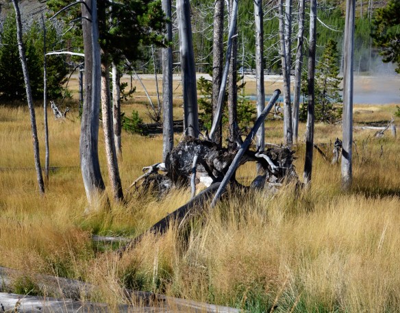 Lin and Michael's Photos