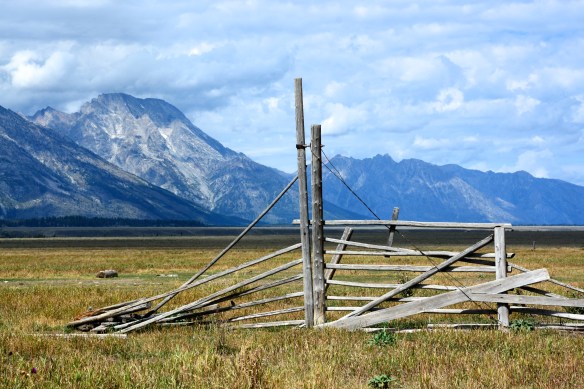 Lin and Michael's Photos