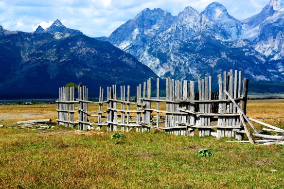 Lin and Michael's Photos