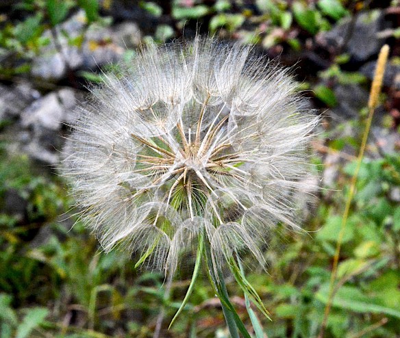 Lin and Michael's Photos