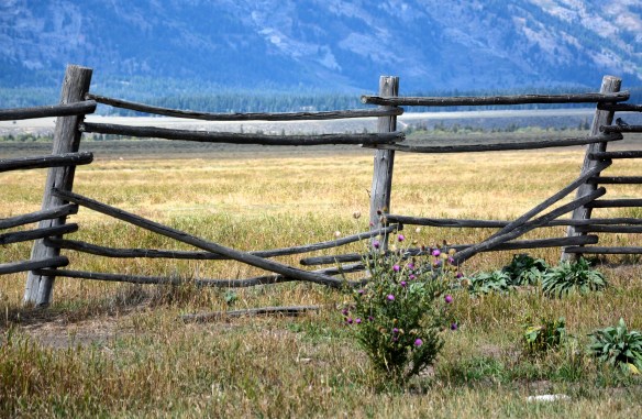 Lin and Michael's Photos