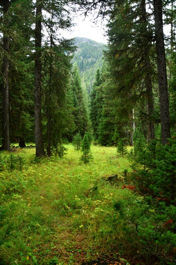 Lin and Michael's Photos