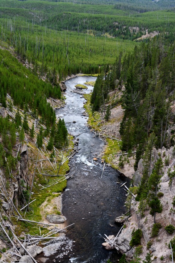 Lin and Michael's Photos