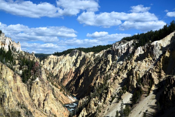 Lin and Michael's Photos