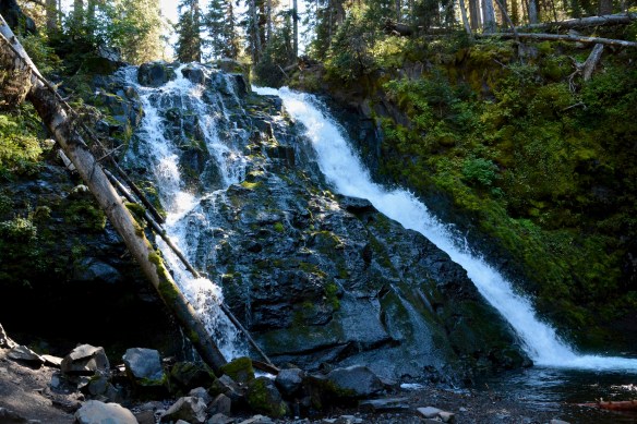 Lin and Michael's Photos