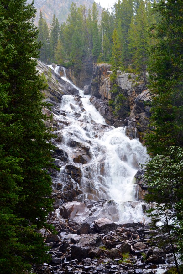 Lin and Michael's Photos