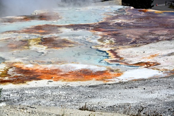 Lin and Michael's Photos