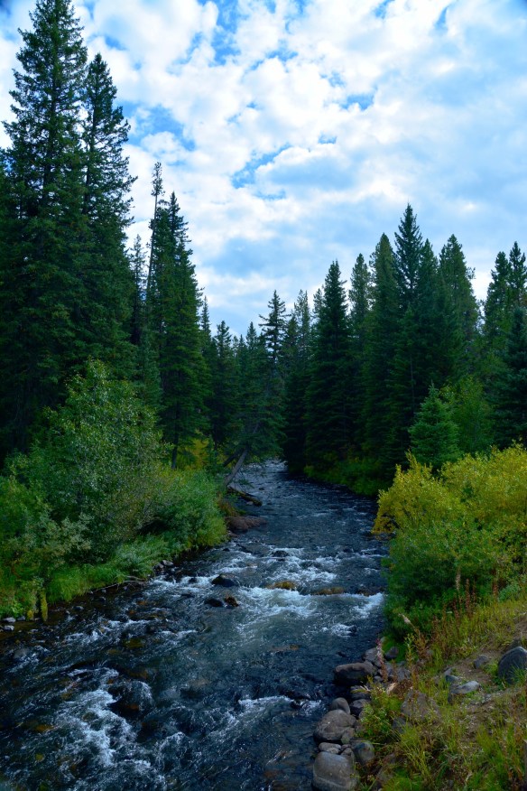 Lin and Michael's Photos