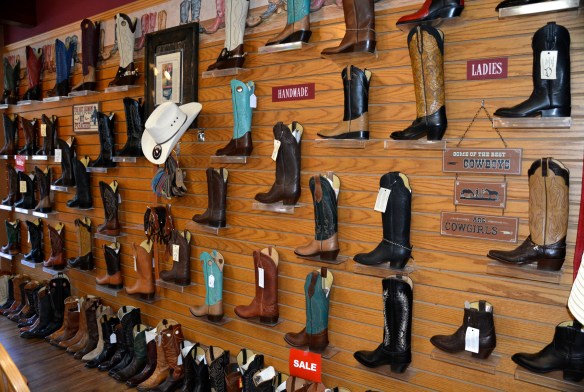 Lin and Michael's Photos