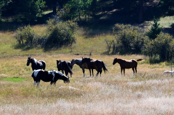 Lin and Michael's Photos