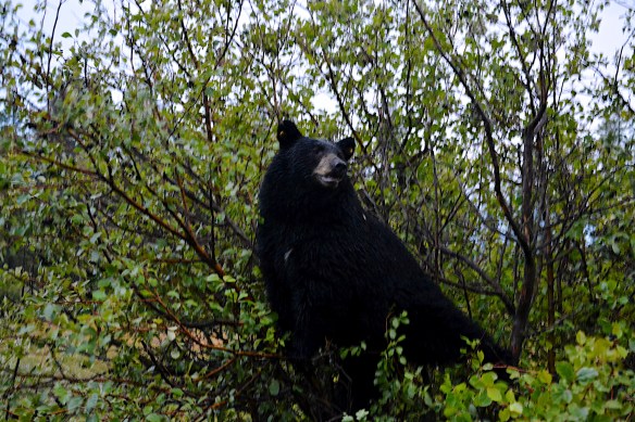 Lin and Michael's Photos