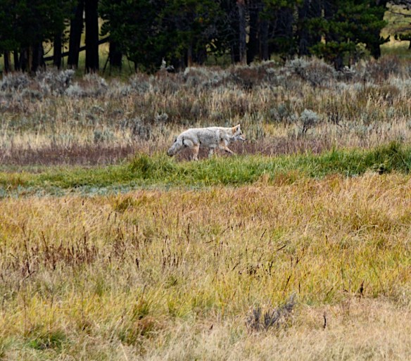 Lin and Michael's Photos