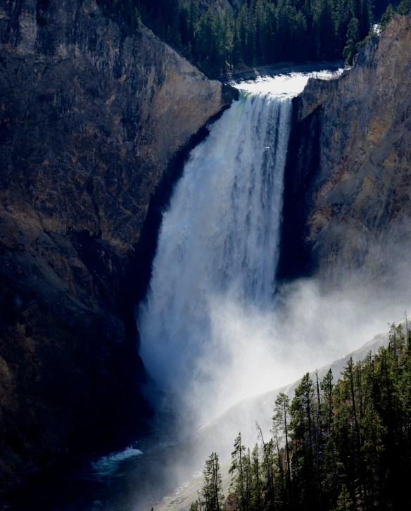 Lin and Michael's Photos