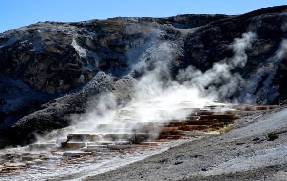 Lin and Michael's Photos