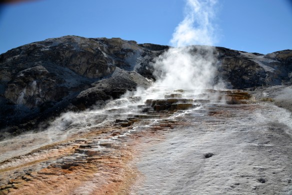 Lin and Michael's Photos