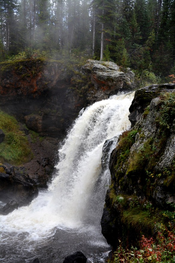 Lin and Michael's Photos