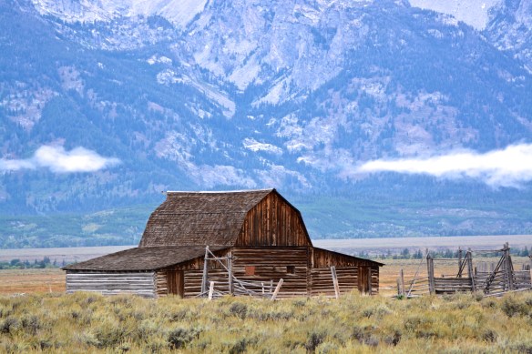 Lin and Michael's Photos