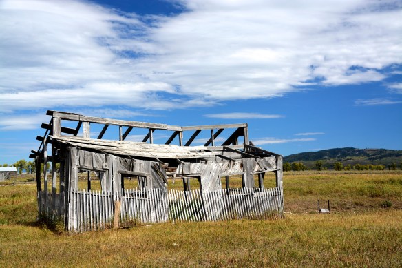 Lin and Michael's Photos