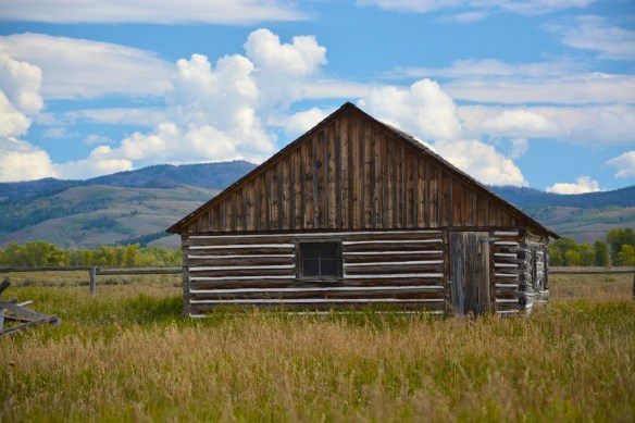 Lin and Michael's Photos 