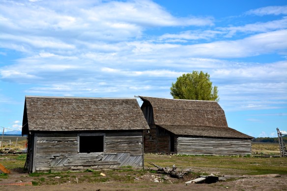 Lin and Michael's Photos