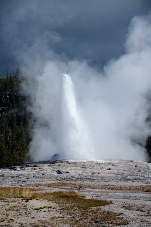 Lin and Michael's Photos