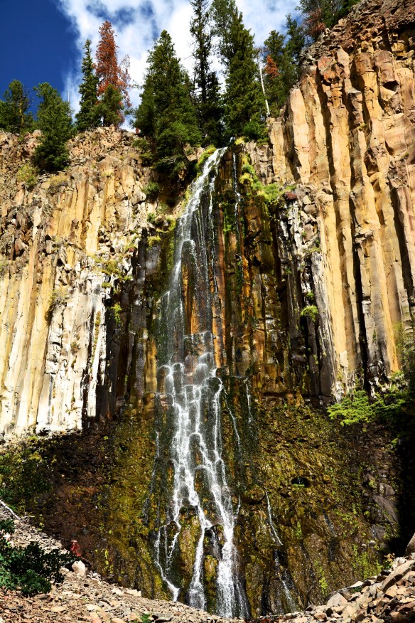 Lin and Michael's Photos