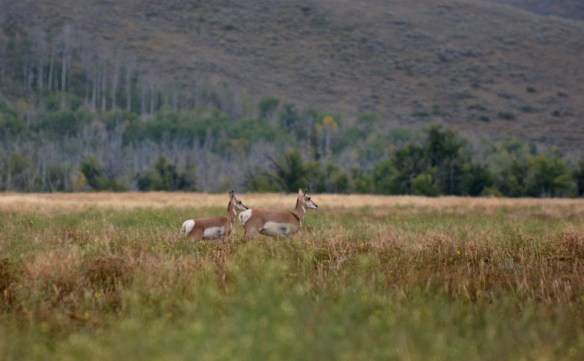 Lin and Michael's Photos