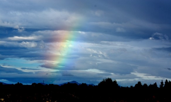 Lin and Michael's Photos