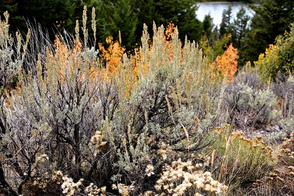 Lin and Michael's Photos