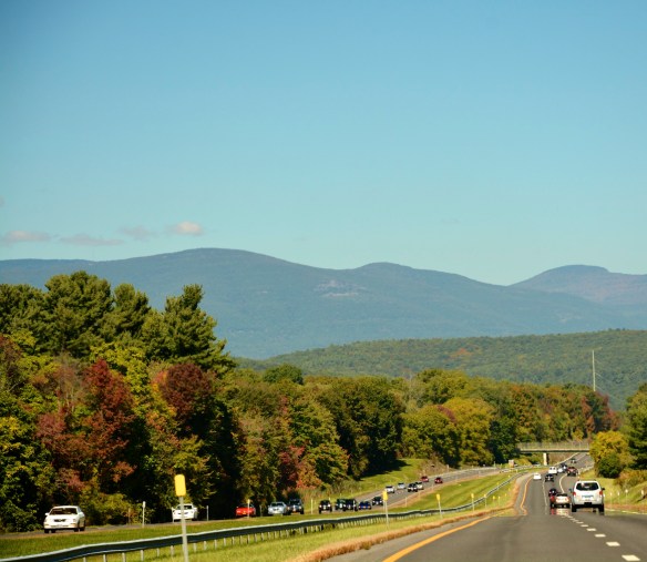 Lin and Michael's Photos