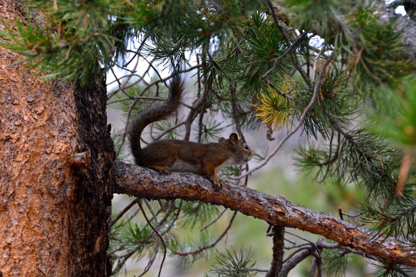 Lin and Michael's Photos