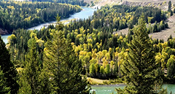 Lin and Michael's Photos