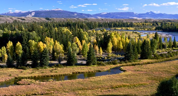 Lin and Michael's Photos