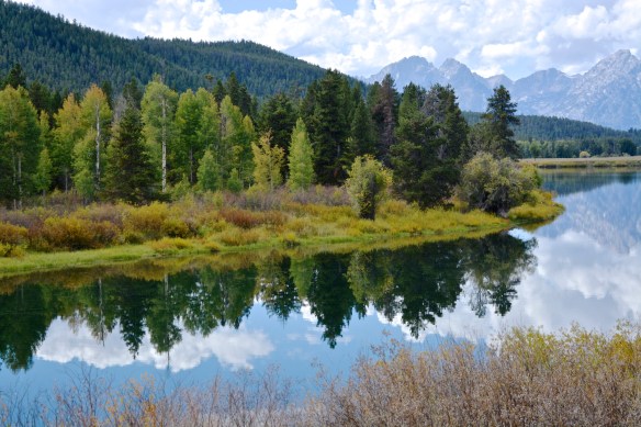 Lin and Michael's Photos