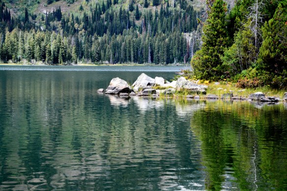 Lin and Michael's Photos