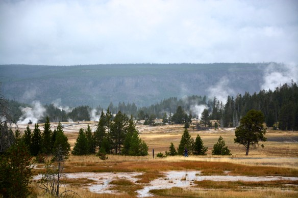 Lin and Michael's Photos