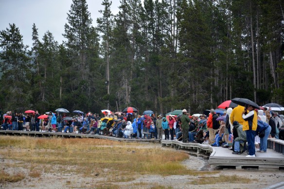 Lin and Michael's Photos