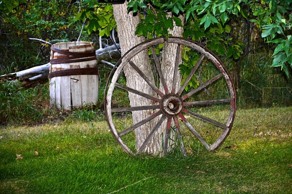 Lin and Michael's Photos