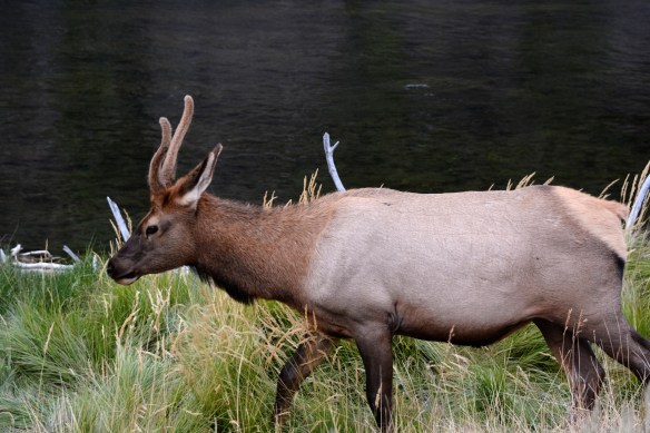 Lin and Michael's Photos