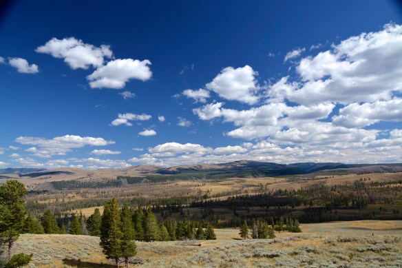 Lin and Michael's Photos