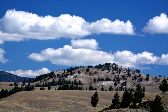 Lin and Michael's Photos