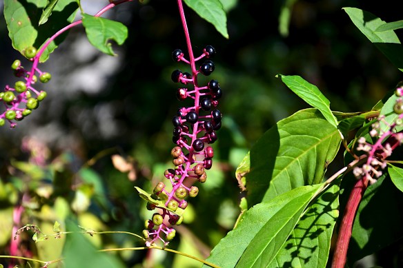 Lin and Michael's Photos