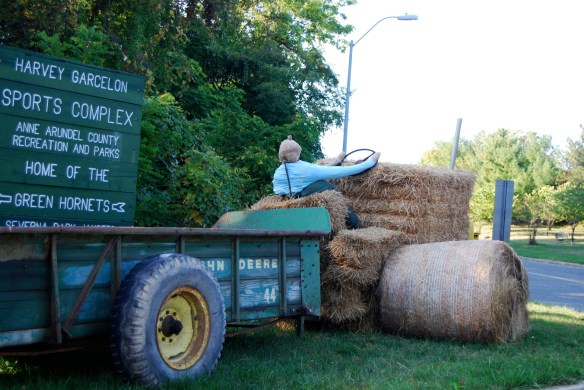 Lin and Michael's Photos