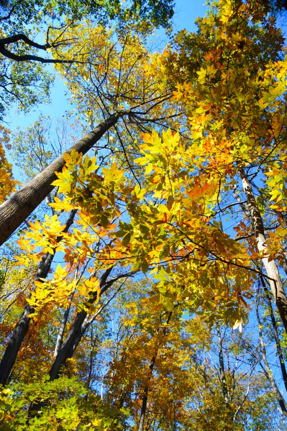 Lin and michael's Photos