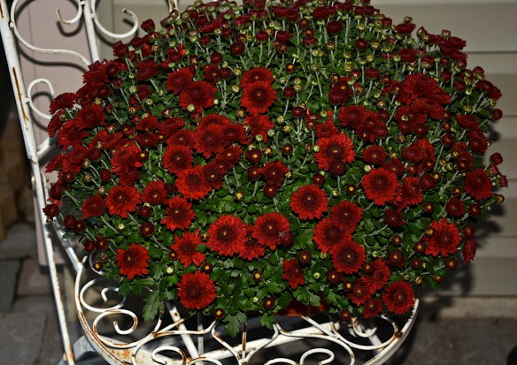 Lin and Michael's Photos