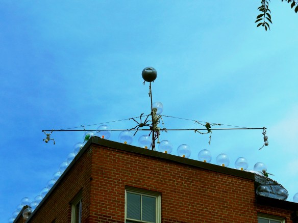 Lin and Michael's Photos