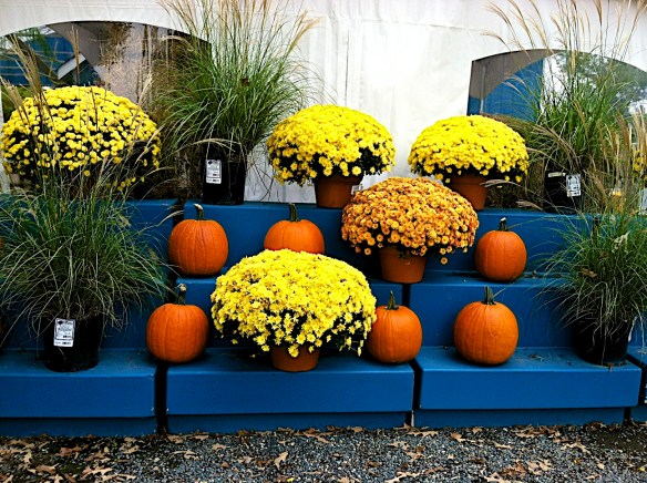 Lin and Michael's Photos