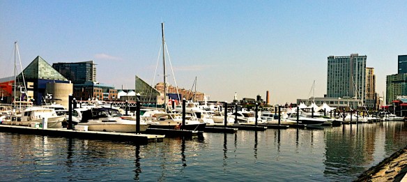 Lin and Michael's Photos