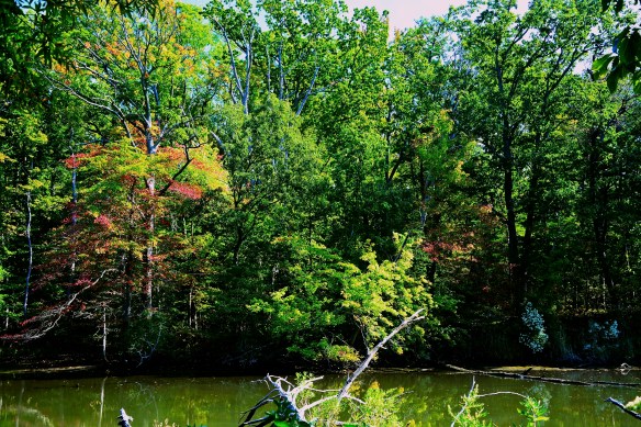 Lin and Michael's Photos